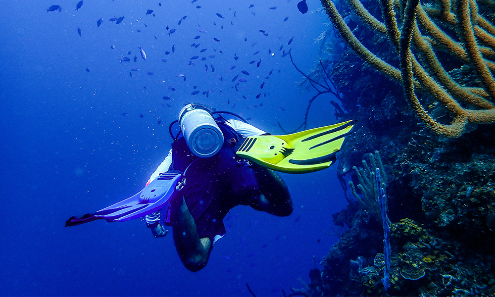 Diving Trips